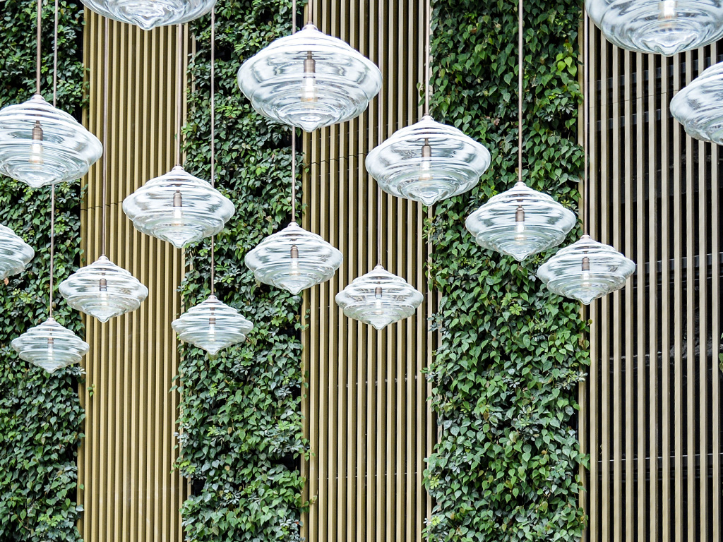 green wall with pendant lights in city hall square
